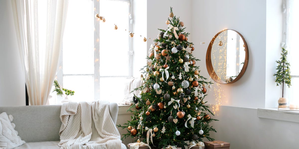 How to Plant Your Live Christmas Tree After the Holidays